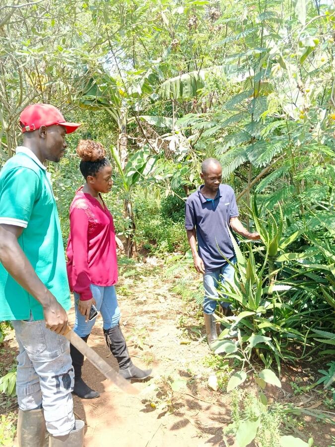 Field visit — aloe and regreening site walk-through