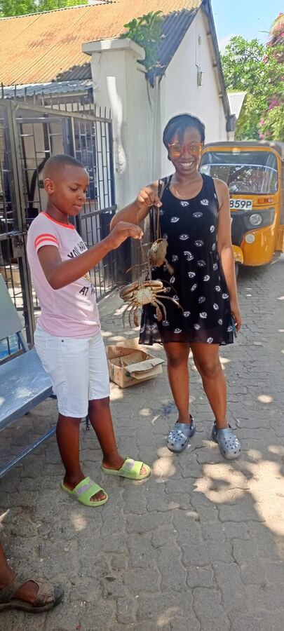 Marine Biodiversity — hands-on with local marine life